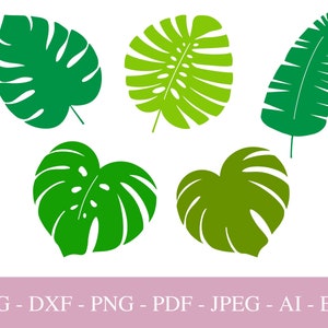 Monstera SVG Files For Cricut, Tropical Leaves PNG , Silhouette, Palm Brunch for Print, DXF Cut File, Greenery Tropical Party Clipart, Pdf.