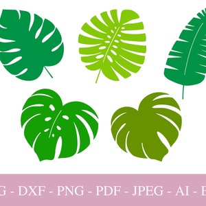 File SVG Monstera per Cricut, Foglie tropicali PNG, Silhouette, Brunch di palme per stampa, File di taglio DXF, Clipart per feste tropicali nel verde, Pdf.