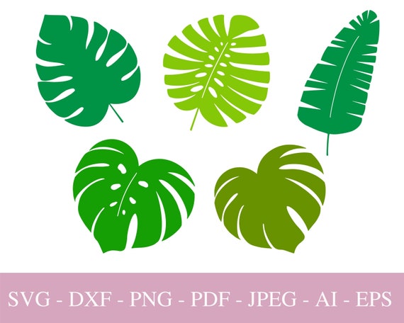 Monstera SVG Files For Cricut, Tropical Leaves PNG , Silhouette, Palm  Brunch for Print, DXF Cut File, Greenery Tropical Party Clipart, Pdf.