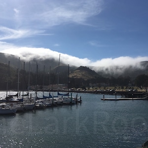 Fort Baker Marina, Sausalito, California