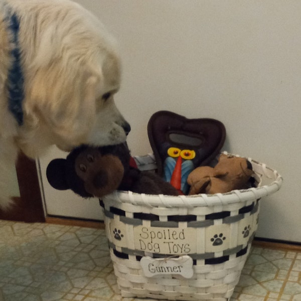 Dog Toy Basket Hand Woven