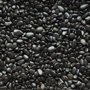 Polished Black Bean Pebble | Succulents and Cactus Top Dressing | Succulent Arrangements
