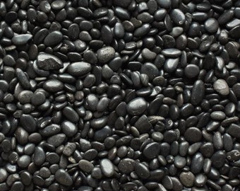 Polished Black Bean Pebble | Succulents and Cactus Top Dressing | Succulent Arrangements