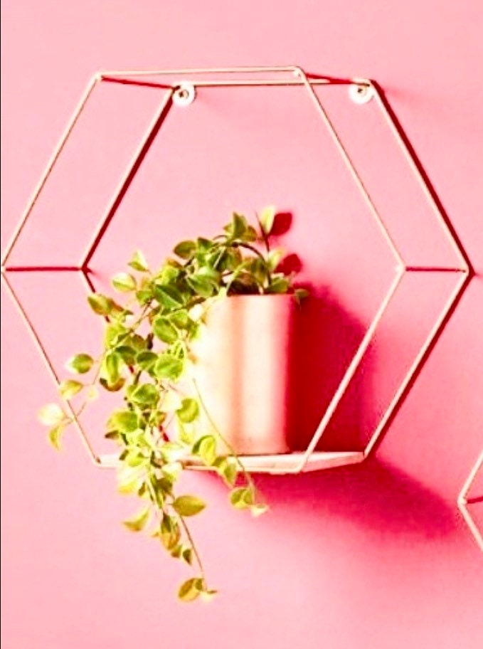 Hexagon Floating Wall Shelf Gold set of 2 Gold Wall Decor Etsy