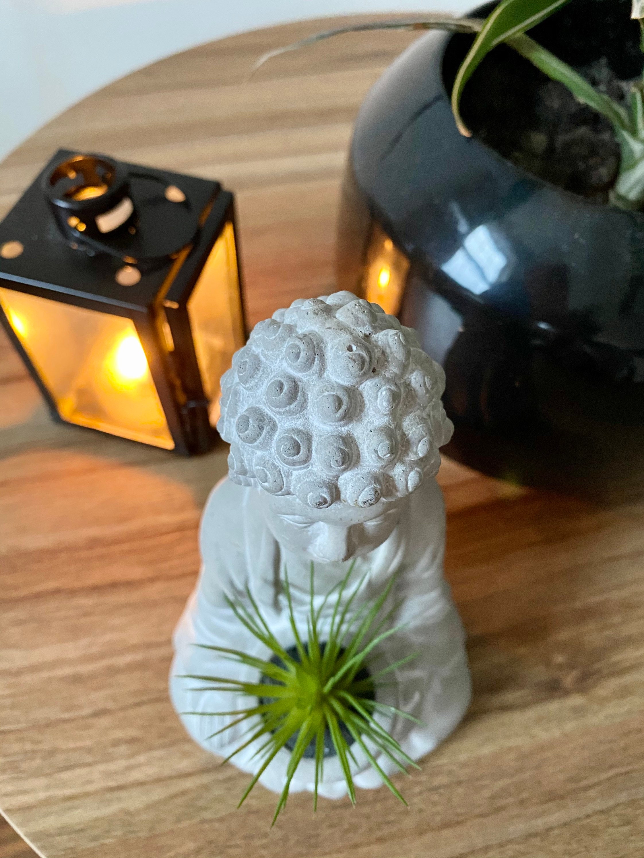 Artificial Plant Buddha Plant Pot With Artificial Plants Etsy