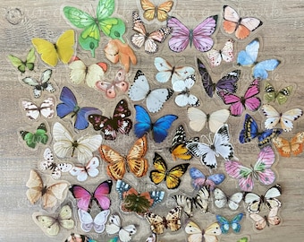 Vlinderstickerpakket / mysterieus assortiment vlinders