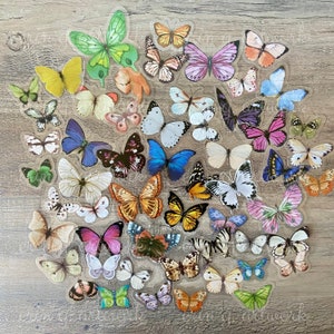 Butterfly Sticker Pack / Mystery Assortment of Butterflies