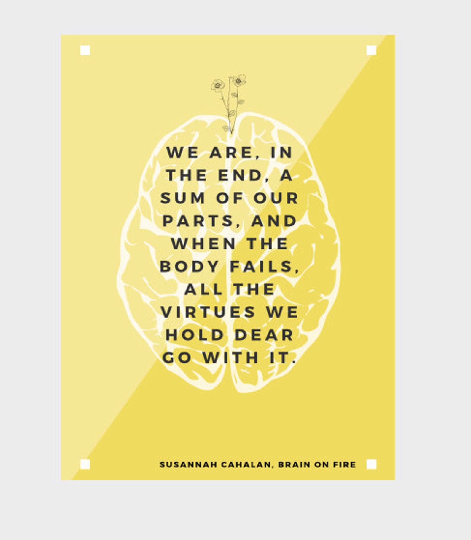 brain on fire cahalan brain on fire cahalan