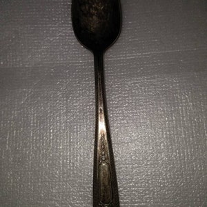 May include: A silver teaspoon with an ornate design on the handle.