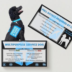 Service Dog Information Cards Made Custom, ADA Compliant Information, Packs of 50 Standard 2x3" Cards (2 Styles!) - PRINTED CARDS