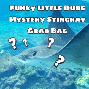 Funky Little Dude Mystery Grab Bag - Crocheted Mystery Stingray Plushie - Ocean Animal Themed Friend