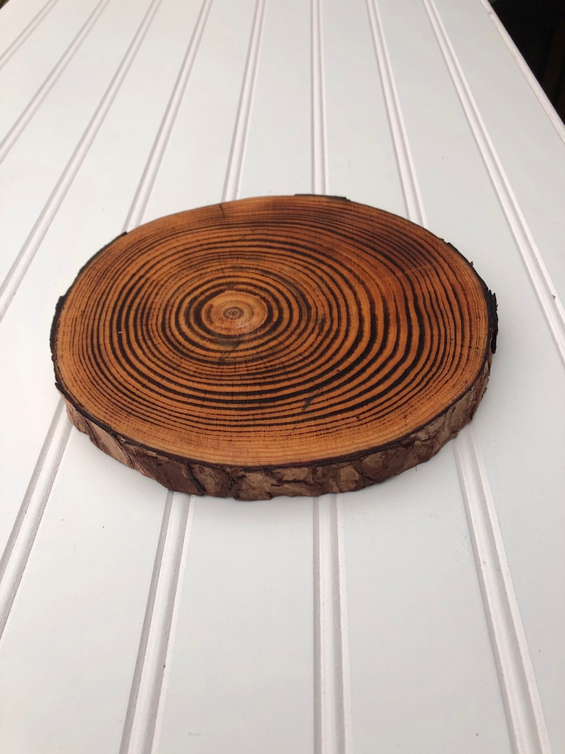 May include: A round wooden slice with a natural bark edge and a dark brown wood grain pattern. The wood grain is in concentric circles.