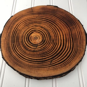 May include: A round wooden slice with a natural wood finish and dark brown rings. The wood slice has a rough, natural edge.