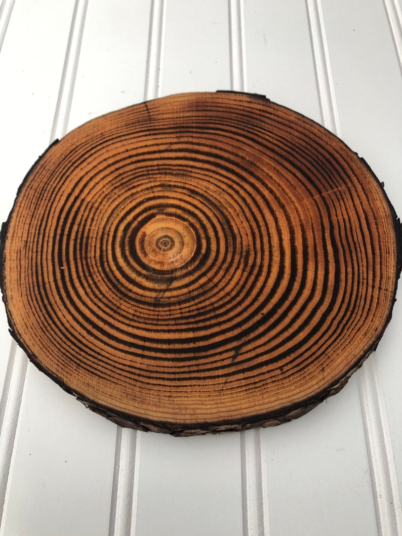 May include: A round wooden slice with a natural wood finish and dark brown rings. The wood slice has a rough, natural edge.