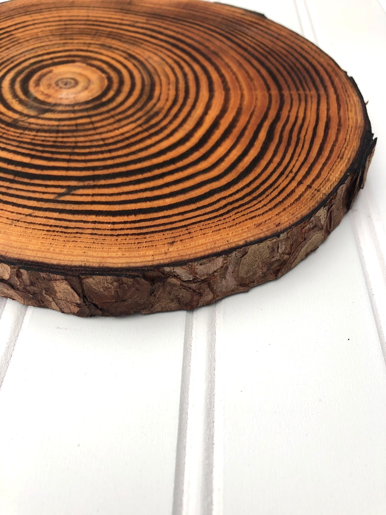 May include: A round wooden slice with a natural bark edge. The wood has a dark brown center with light brown rings radiating outwards.