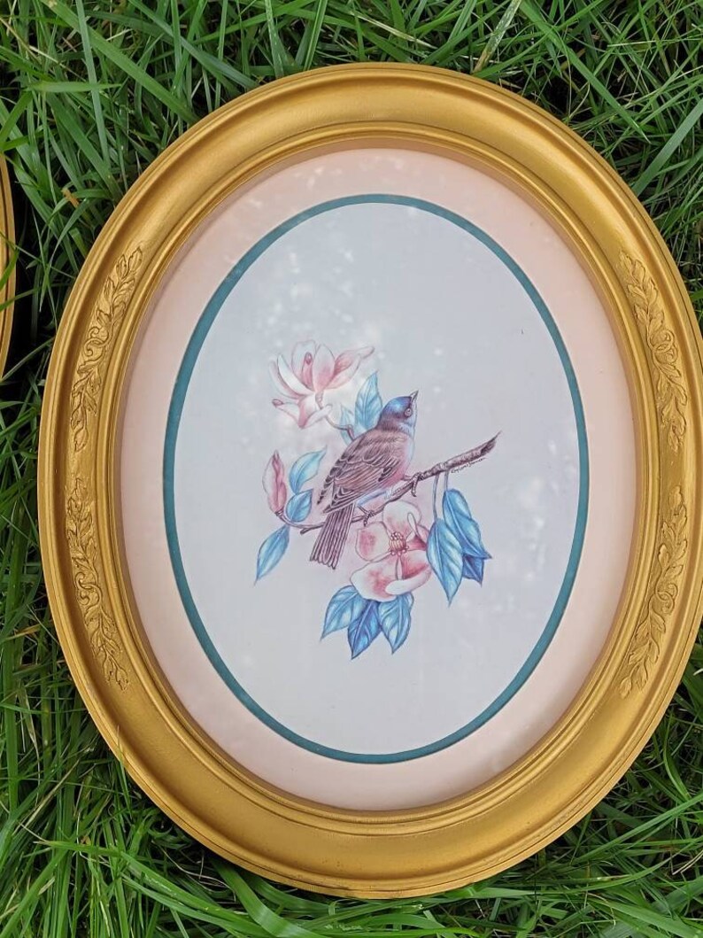 Vintage Wall Decor Vintage Wall Decor Birds Bird Pictures Etsy