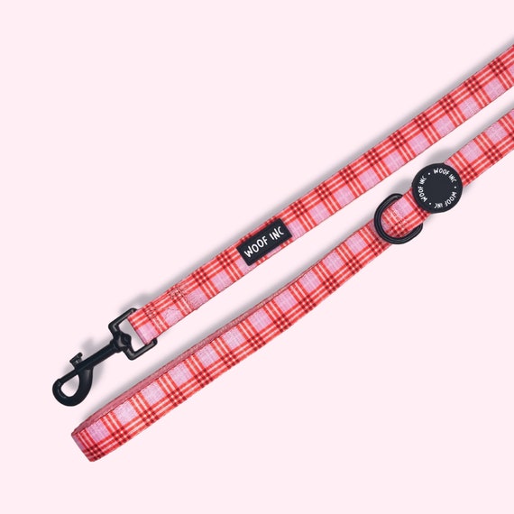 Pretty dog leads cheap