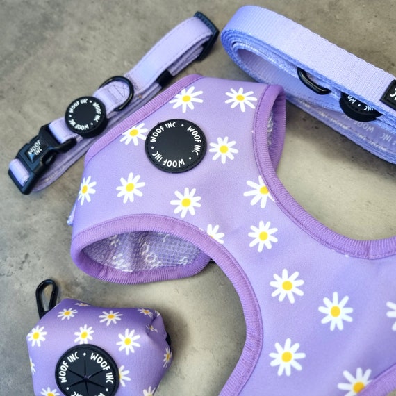 Daisy Dog Harness Bundle Floral Dog Harness Small Dog Etsy