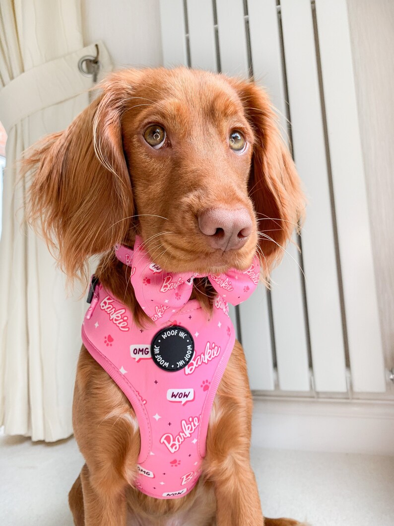 Barbie Dog Harness Pink Dog Harness Small Dog Harness Girl | Etsy