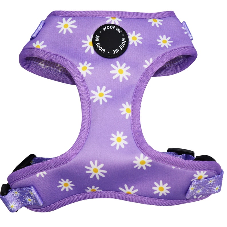 Daisy Dog Harness Bundle Floral Dog Harness Small Dog Etsy