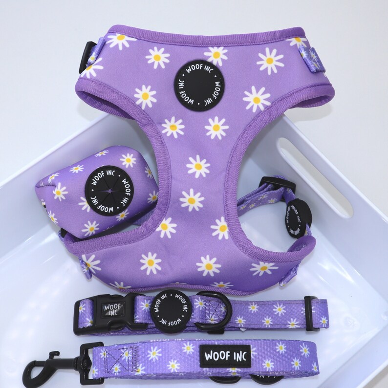 Daisy Dog Harness Bundle Floral Dog Harness Small Dog Etsy