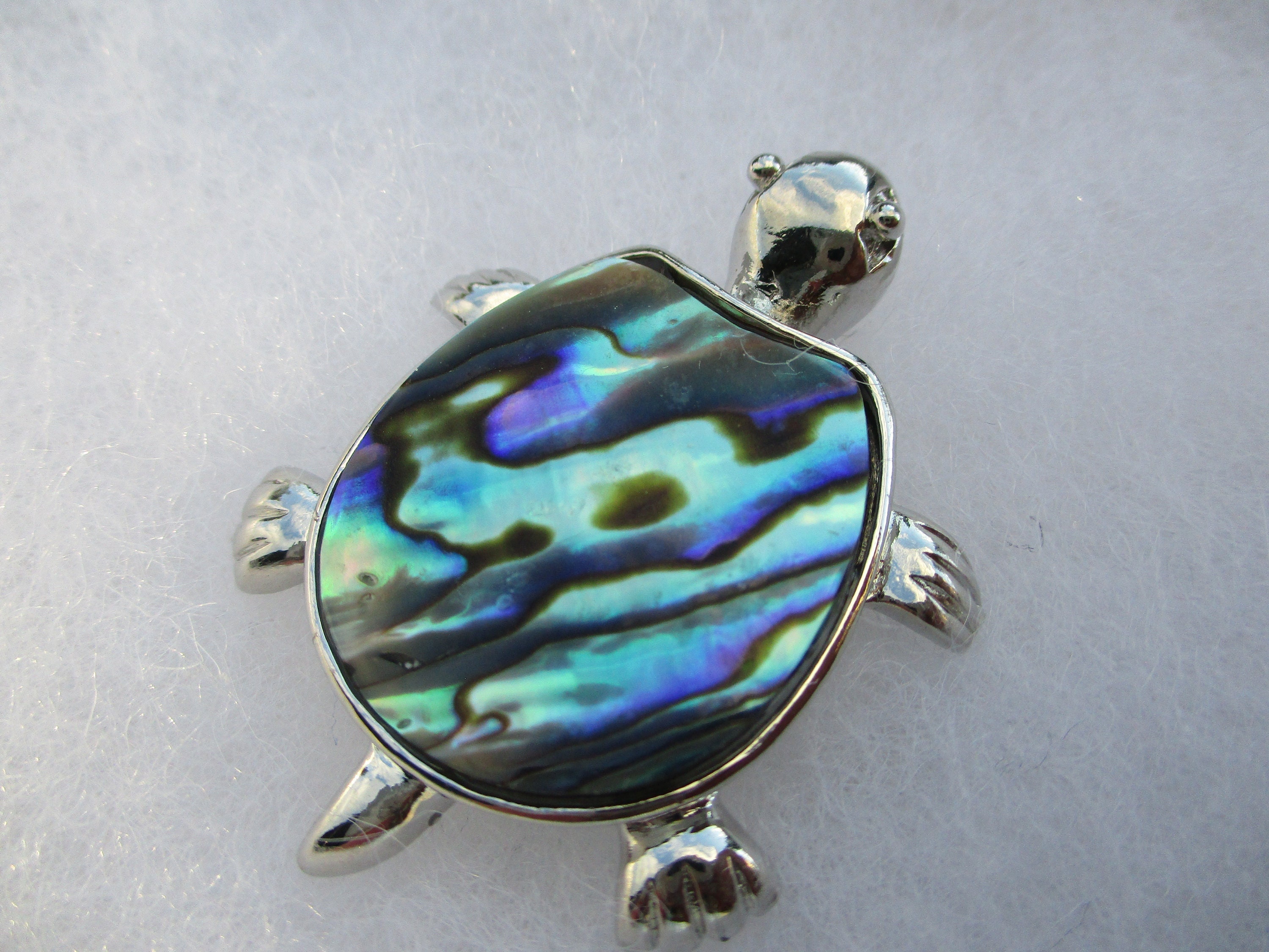 Abalone Shell Turtle - Etsy Canada