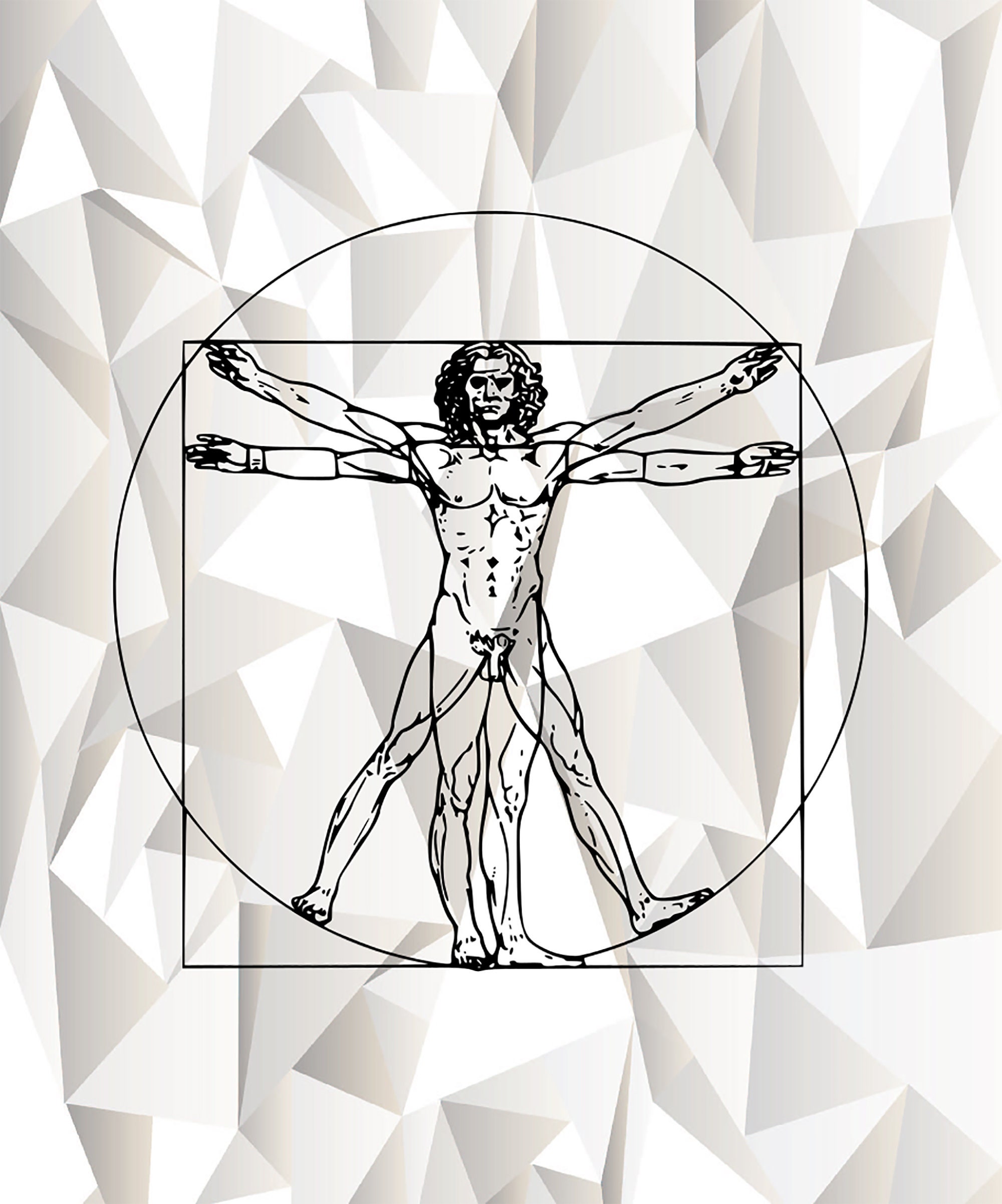 Vetruvian Man Anatomy Davinci Isolated Vector, Anatomy, Davinci, Isolated  PNG and Vector with Transparent Background for Free Download
