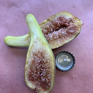May include: Halved fig with a light green exterior and a deep red interior, next to a silver bottle cap. The fig's flesh is filled with small, seed-like structures. The background is a pinkish-purple surface.