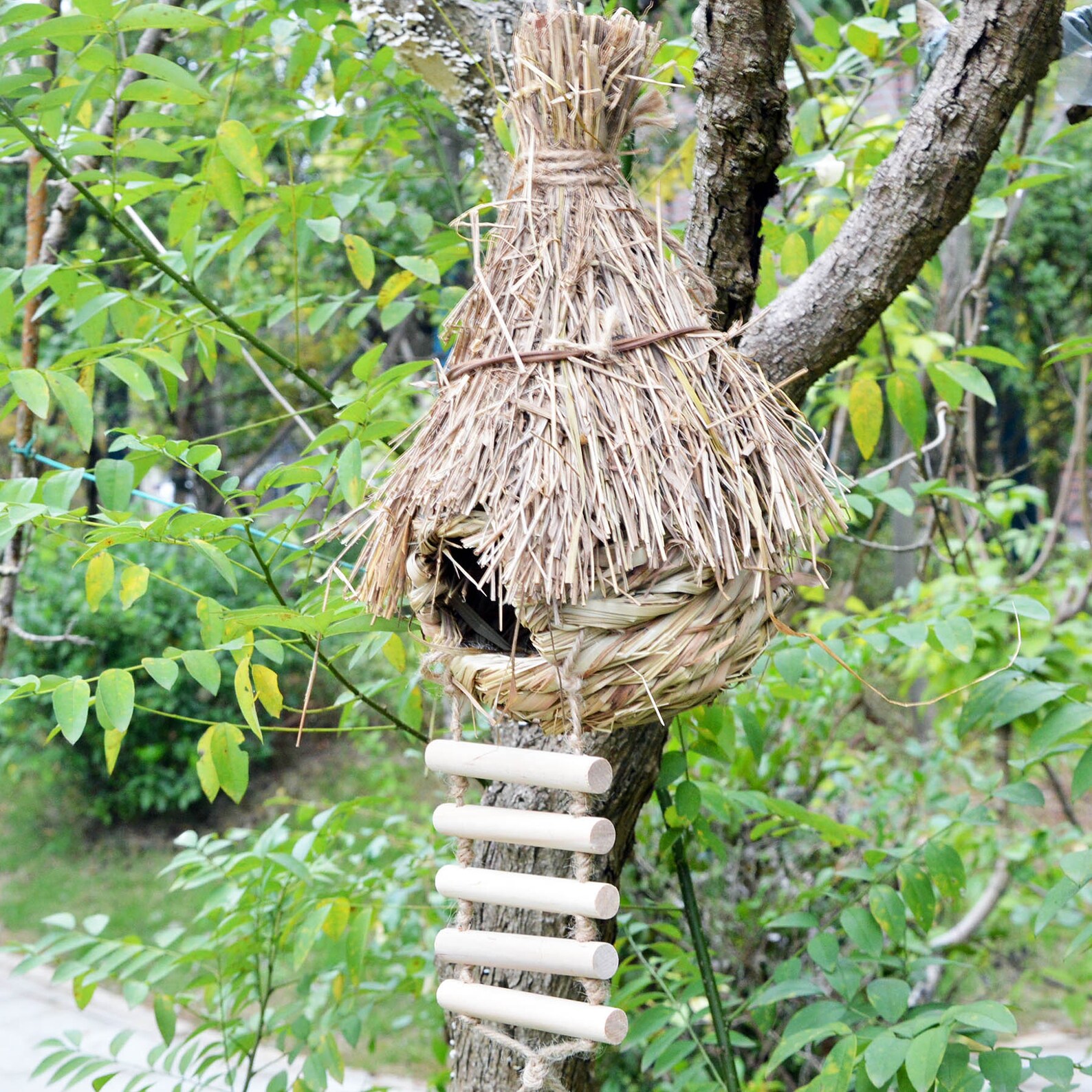 Bamboo leaves Bird House for Outside With ladder Hummingbird Etsy