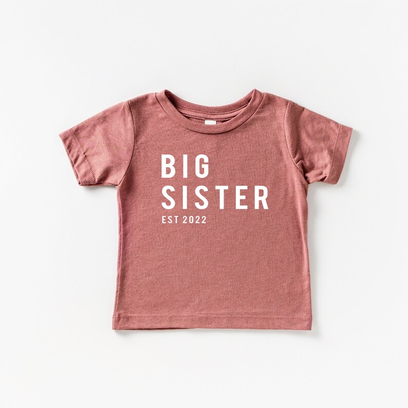 Big Sister tshirt, toddler shirt, baby shirt, big sister, expecting, girls shirt, new baby, baby reveal, gender reveal image 1