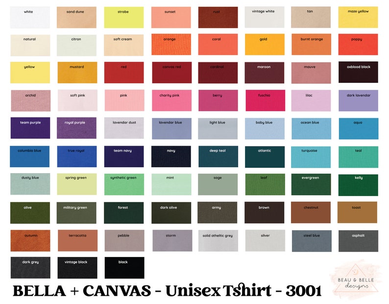 Pu&ograve; includere: Una cartella colori con 100 diversi campioni di colore, ognuno etichettato con un nome. La cartella &egrave; divisa in 10 righe e 10 colonne. I colori vanno dal bianco al nero, e includono sfumature di rosso, blu, verde, giallo, arancione, viola e marrone.