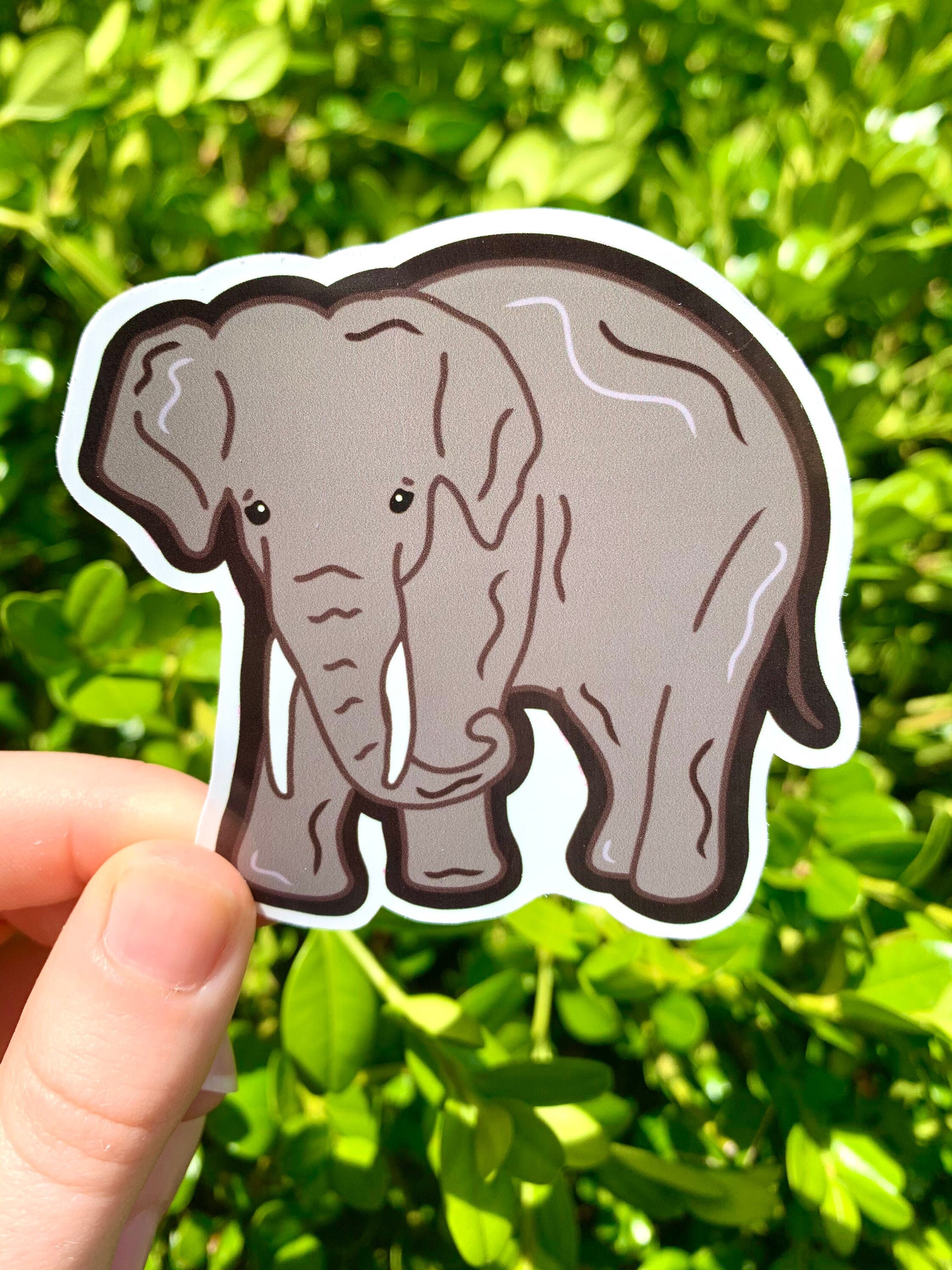 Grey Elephant Sticker Wild Animal Stickers Etsy