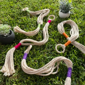 May include: Five macrame plant hangers with wooden rings. The hangers are made of natural cotton rope and have colourful accents in pink, green, orange, and purple.