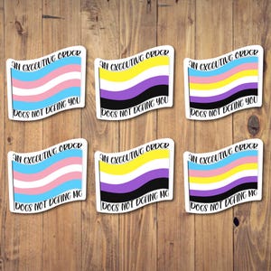 An Executive Order Does Not Define… sticker | LGBTQ, LGBT, Pride, transgender, trans, nonbinary, self care
