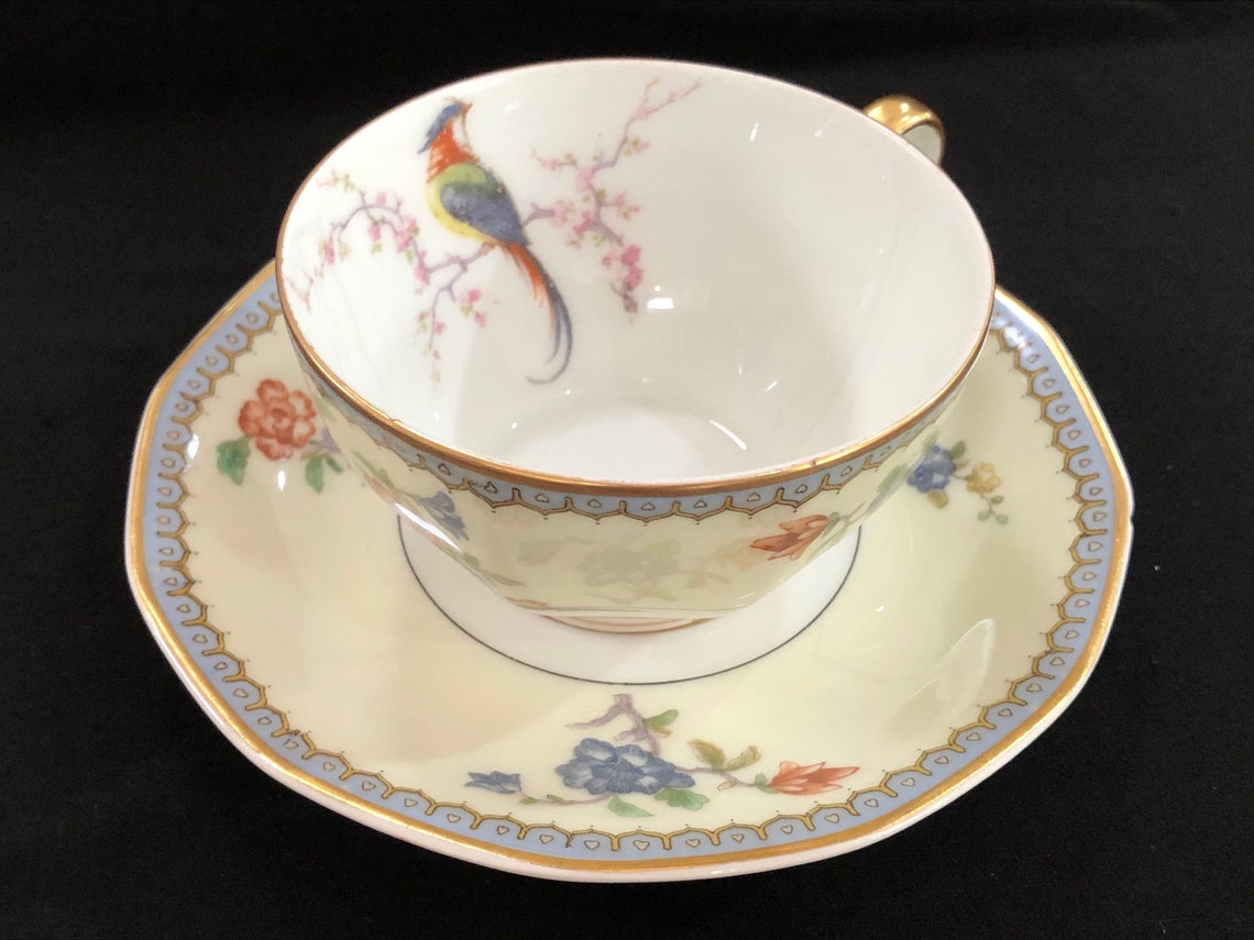 Haviland Limoges Birds Of Paradise Cup And Saucer Made In Etsy