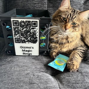May include: A tabby cat sits on a gray couch with a black plastic crate and a blue package containing yellow rings. The crate has a white label with a QR code and the text "Gizmo's Magic Rings".