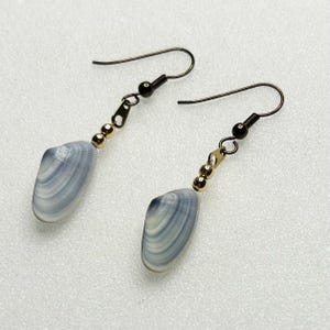 Puede incluir: Un par de pendientes colgantes con colgantes de conchas marinas azules claras y blancas. Los pendientes tienen cuentas doradas y ganchos para las orejas de metal oscuro. Las conchas marinas tienen un patrón de rayas.
