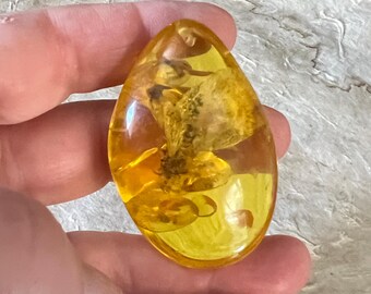 Large Amber Pendant with trapped insect