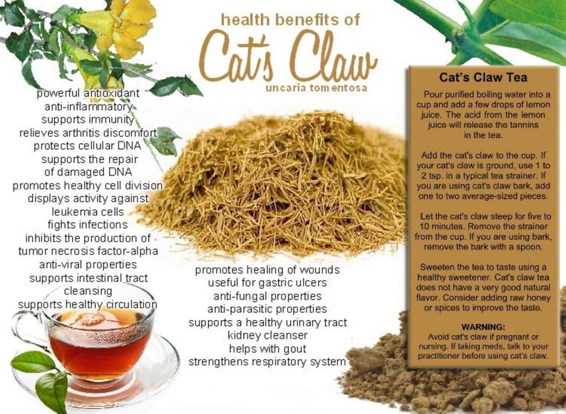 Cat's Claw Bark for a Cozy Tea Organic Natural Herbs Etsy
