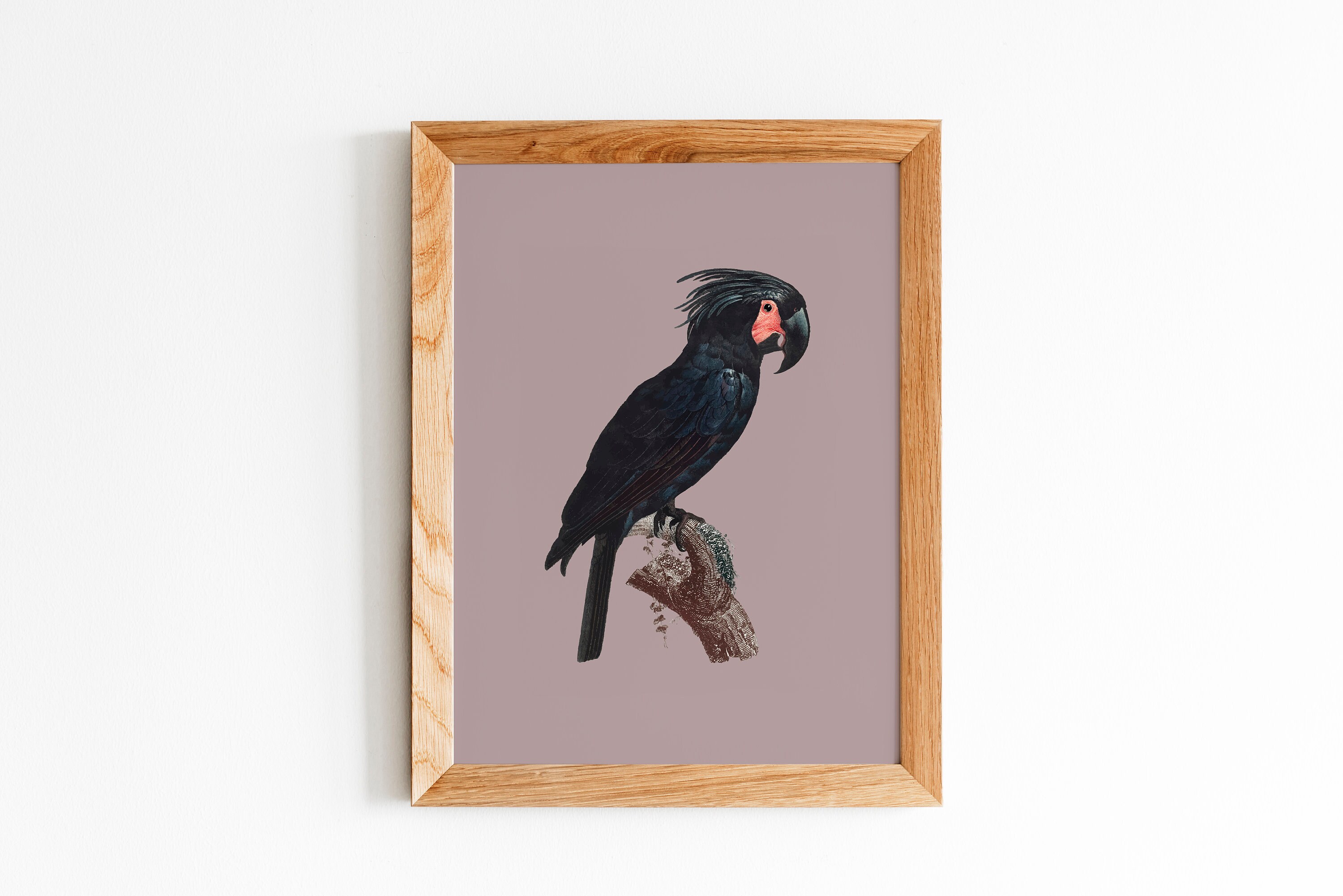 Printable art cockatoo Black Cockatoo Print Wall Art Print Etsy