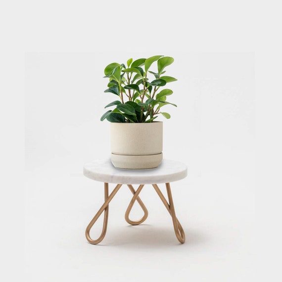 THREE LEGGED STOOL Indoor Plant Stand Marble Table Top