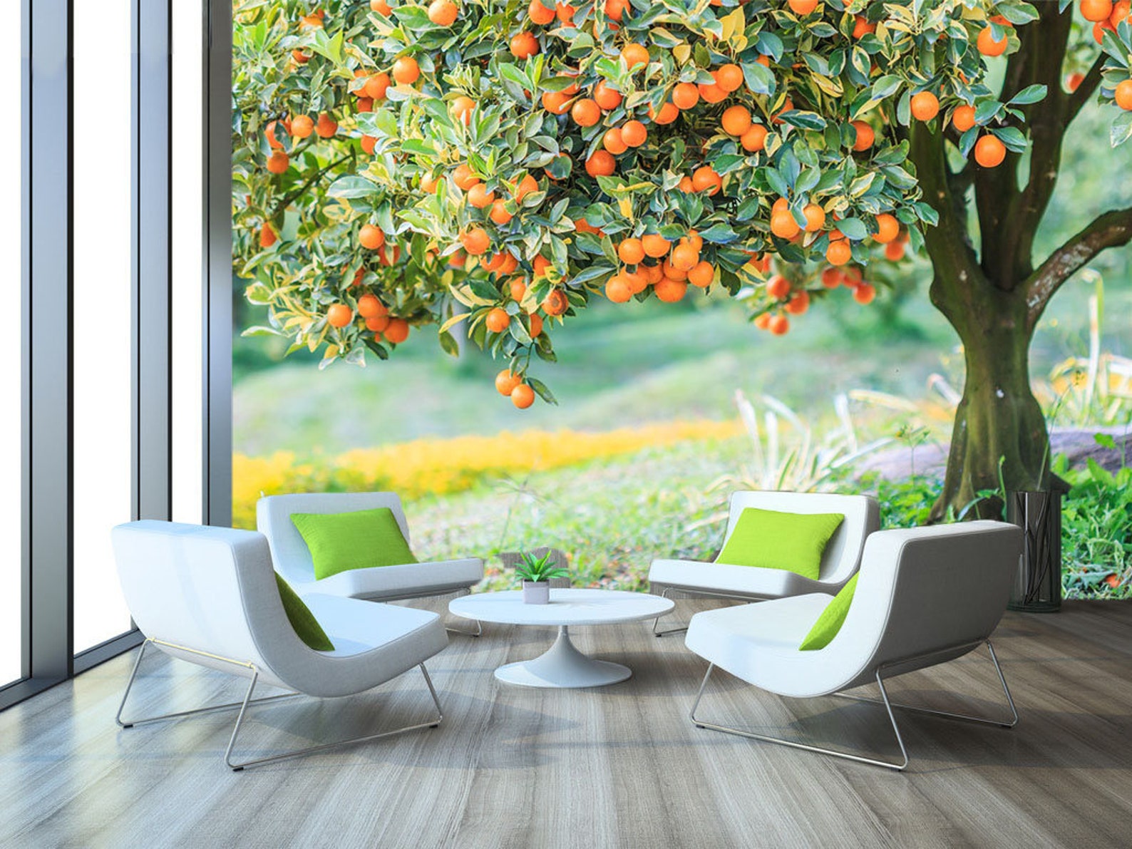 Orange Tree 2033 Wallpaper Mural Self Adhesive Peel and Stick Etsy