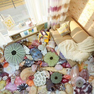 3D Color Shells 1803 Floor Wallpaper Murals Self-Adhesive Removable Kitchen Bath Floor Waterproof floor Rug Mat Print Epoxy 2024