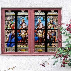 3D Lovely Baby W1514 Window Film Print Sticker Cling Stained Glass Xmas Window Decor UV Heat Control Glass Privacy Window Film Rose