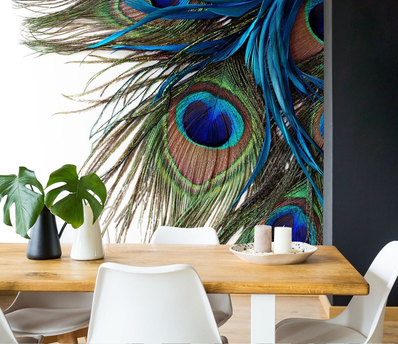Peacock Feather 1265 Wallpaper Mural Self Adhesive Peel and Etsy