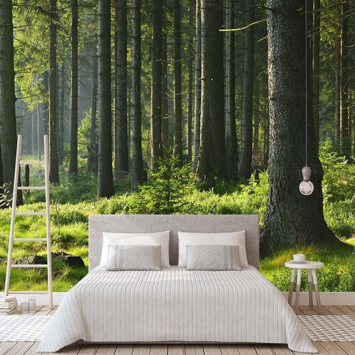 Green Forest Secret 6181 Wallpaper Mural Self Adhesive Peel - Etsy