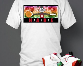 jordan retro 6 hare shirt