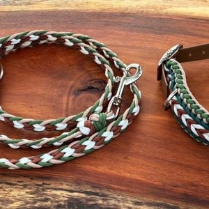 May include: A dog collar and leash set. The collar has a brown leather strap with a silver buckle and a braided design in green, white, and brown. The matching leash is also braided in the same colors.