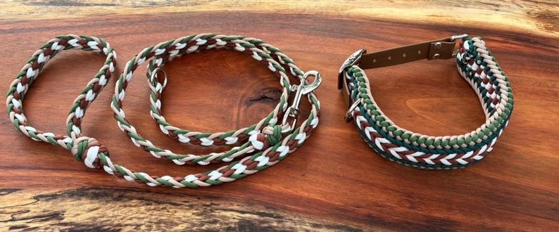 May include: A dog collar and leash set. The collar has a brown leather strap with a silver buckle and a braided design in green, white, and brown. The matching leash is also braided in the same colors.