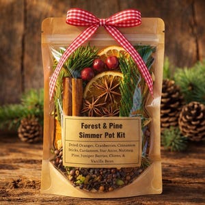 May include: A clear bag filled with a Forest & Pine Simmer Pot Kit, tied with a red and white checkered ribbon. The kit includes dried oranges, cranberries, cinnamon sticks, and star anise. The label lists the ingredients.